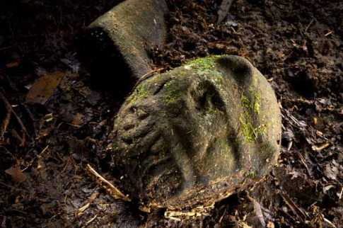 হারিয়ে যাওয়া শহরের হদিস হন্ডুরাসে